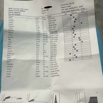 Veteriner Kliniğinde İhmal Sonucu Kedimin Kaybı