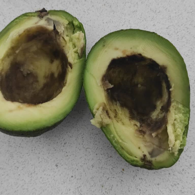 Aldığım Avokadoların Tamamı Çürük Çıktı