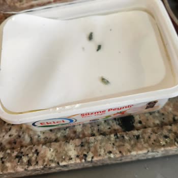 Aldığım Ekici Süzme Peynir Küflü Ve Bozuk Çıktı, Hayal Kırıklığı Yaşadım