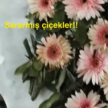 Çelenk Siparişim Solmuş Ve Yanlış Hazırlanıp Mağdur Edildim