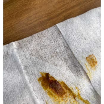 Tedavi Sürecindeki İhmal Ve İletişimsizlik Yüzünden Kedimi Kaybettim