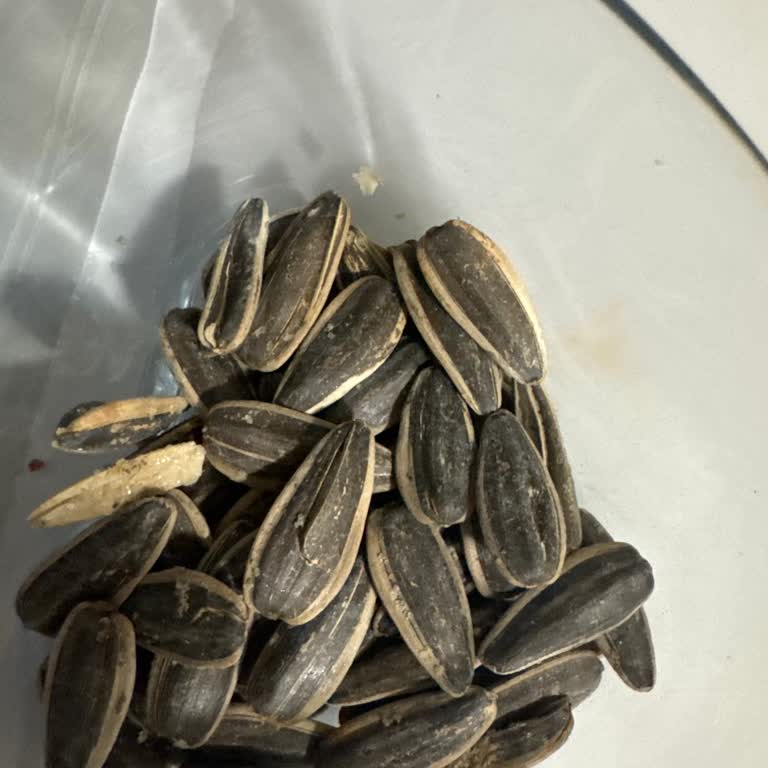 Bayat Ve Acı Çekirdek Sorunu: Param Çöpe Gidiyor