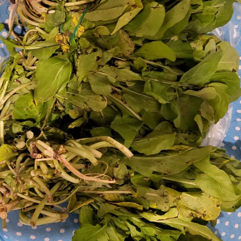 Migros Online Alışverişte Kırık Yumurta Ve Bozuk Yeşillik Sorunu!