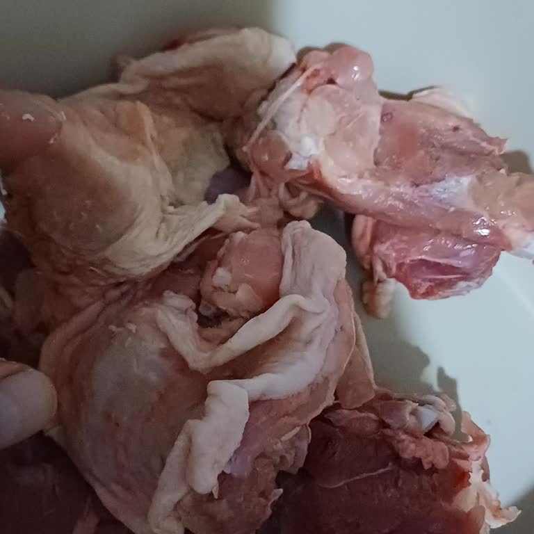 Lezita Tavuklarda Tüy Sorunu: Kontrol Edilmiyor!