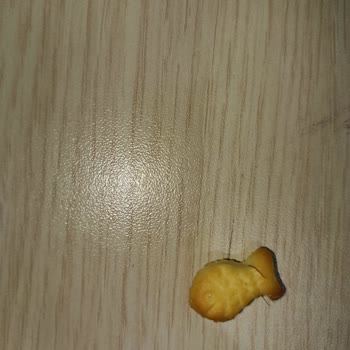 Balık Krakerin İçinden Kıl Çıkması Hijyen Endişesi Yarattı