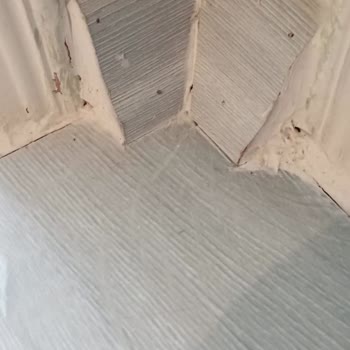 Parkeler Şişti Firma Sorumluluk Almadı Mağdurum
