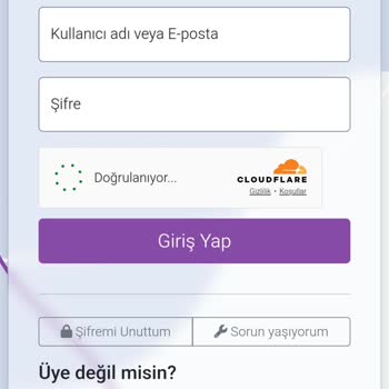 Mobil Veri İle TR Link Sayfasına Erişim Sorunu