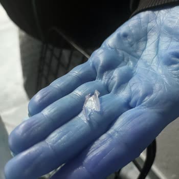 Dondurma İçinden Plastik Parça Çıkması Şaşkınlığı