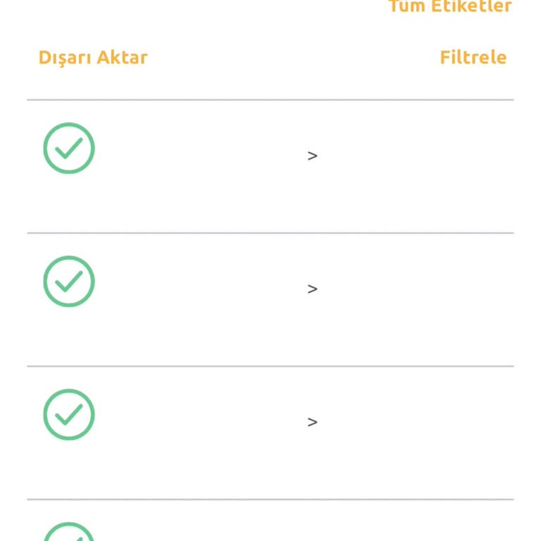 HGS Uygulamasında Geçiş Bilgilerine Erişim Sorunu Ve Muhasebe Kayıtlarında Aksama