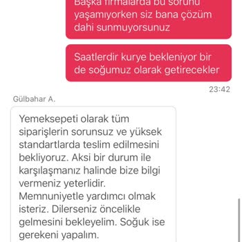 Sipariş Gecikmesi, Yetersiz Müşteri Hizmeti Ve Para İadesi Sorunu