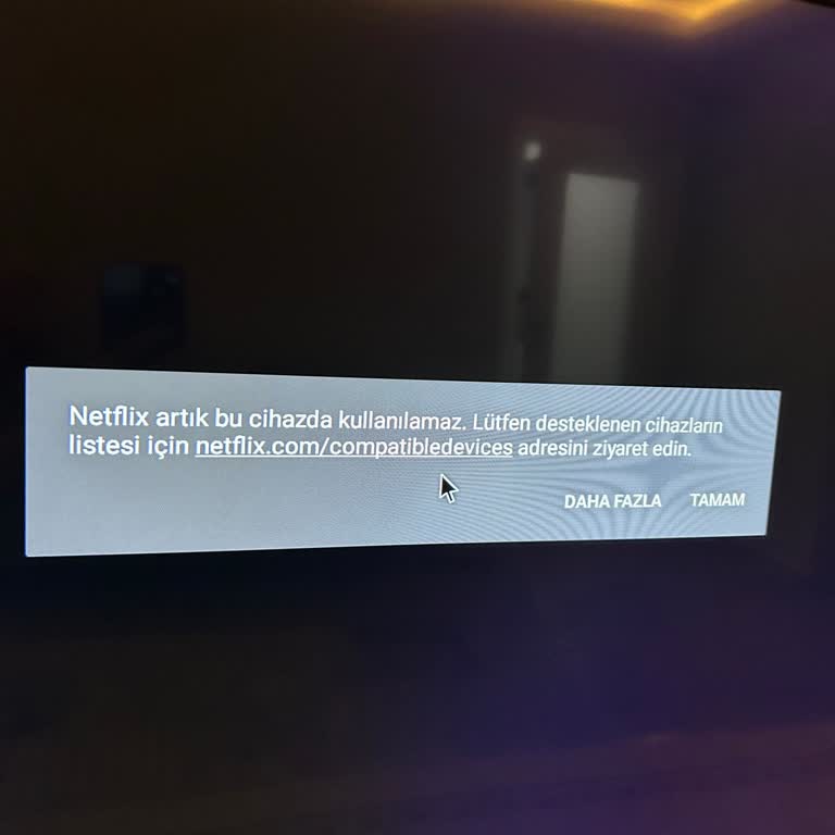 Garanti Süresi Dolmadan Onvo Televizyonda Netflix Desteği Sonlandırıldı