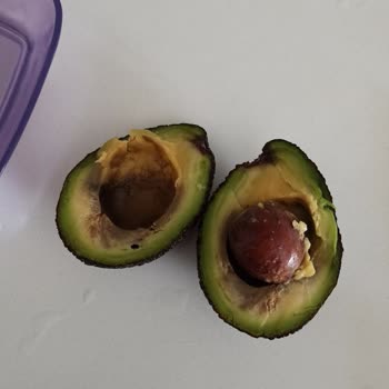 Avokado Siparişim Çürük Ve Olgun Geldi