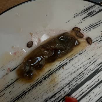 Meyve Suyu İçinde Yabancı Madde Ve Tedirginlik Yaşadık
