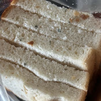 Taze Alınan Tost Ekmeğinde Küf Sorunu Yaşadım