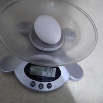 Türem Yumurta L Boy Yumurtalarda Sürekli Düşük Gramaj ve İlgisiz Firma