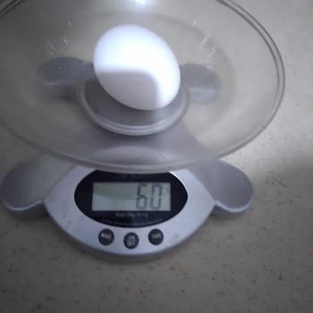 Türem Yumurta L Boy Yumurtalarda Sürekli Düşük Gramaj ve İlgisiz Firma