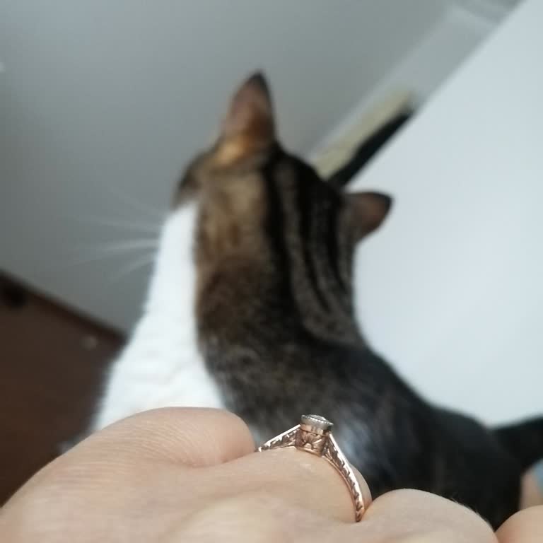 Assos Diamond Elmas Yüzükteki Siyah Boyalar Kısa Sürede Akıyor, Çözüm Sunulmuyor