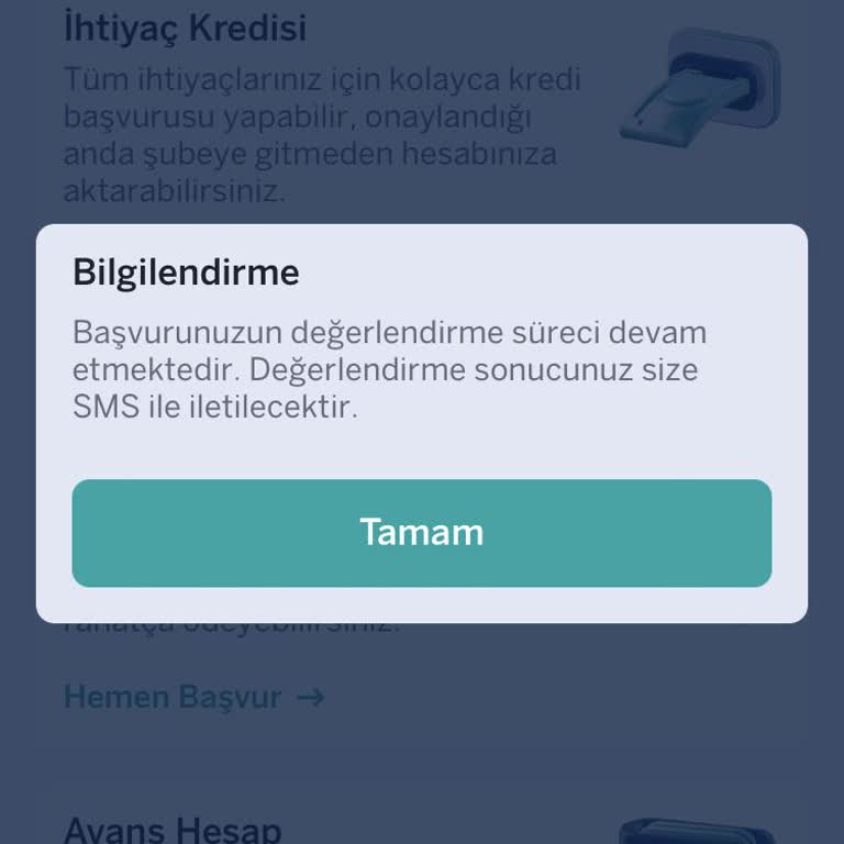 Kredi Başvurusu Onay Süreci Ve Faiz Oranı Mağduriyeti