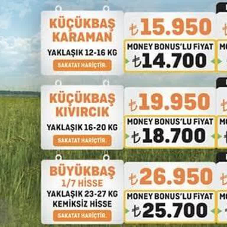 Migros Money Plus Kart İndirimi Uygulanmadı, Müşteri Hizmetlerinden Dönüş Alamadım