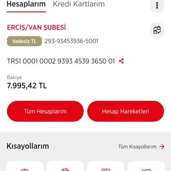 Gönderdiğim Para Hesabıma Ulaşmadı, Mağdurum
