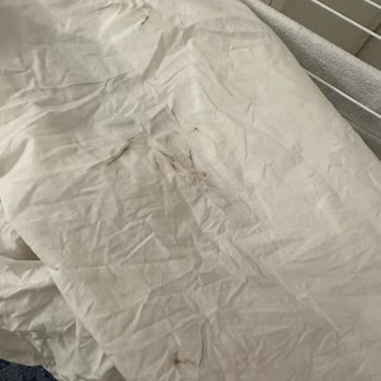 Kurutmalı Çamaşır Makinesi Leke Sorunu Devam Ediyor