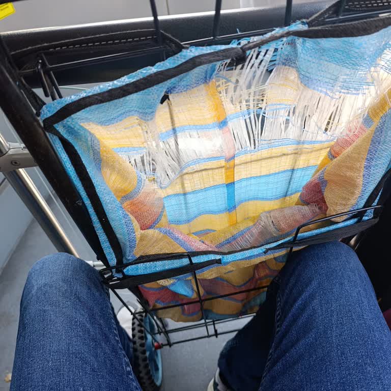 Otobüste Pazar Arabası Engeline Anlam Veremiyorum