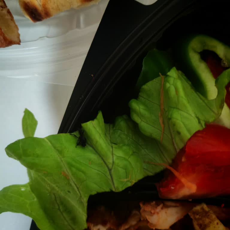 Alesta Mola Cafe & Restaurant'tan Sipariş Verdiğimiz Salata İçinden Böcek Çıktı