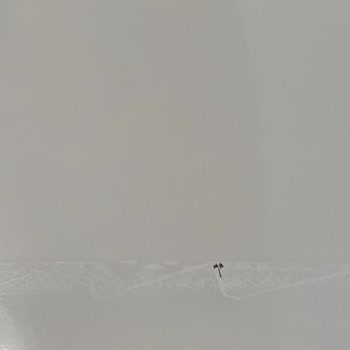 Rückgabe und Erstattung wegen beschädigtem Bosch-Kühlschrank durch fehlerhaften Service