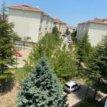 Kargo Teslimatında Yaşanan Sorun Ve Personel Davranışı