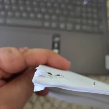 Eminevim'den Senetlerimizi Alamıyoruz: Kayıp Mı, Neden Açıklama Yapılmıyor?