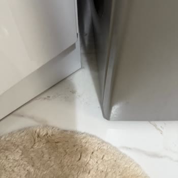 Bosch Çamaşır Ve Bulaşık Makinesi Sürekli Arızalanıyor, Servis Yetersiz