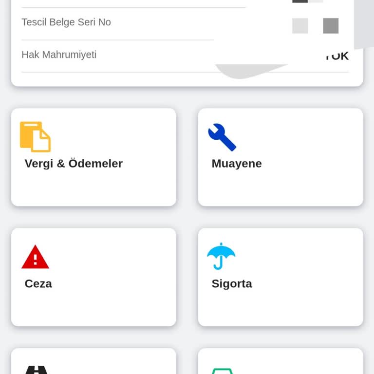A101'den Alınan Volta VSM'de Gereksiz Ruhsat Ve Plaka Zorunluluğu
