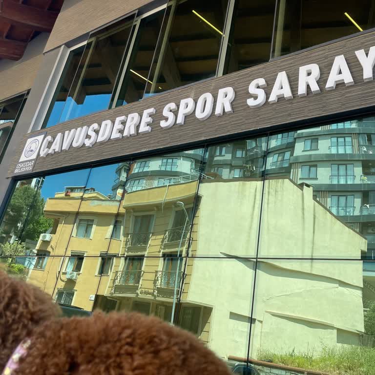 Küçük Irk Köpeğimle Spor Salonuna Alınmadım, Güvenlikten Kaba Davranış