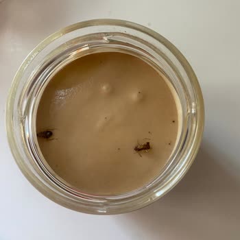 Fındık Kremasında Böcek Şoku Ve İade Talebi