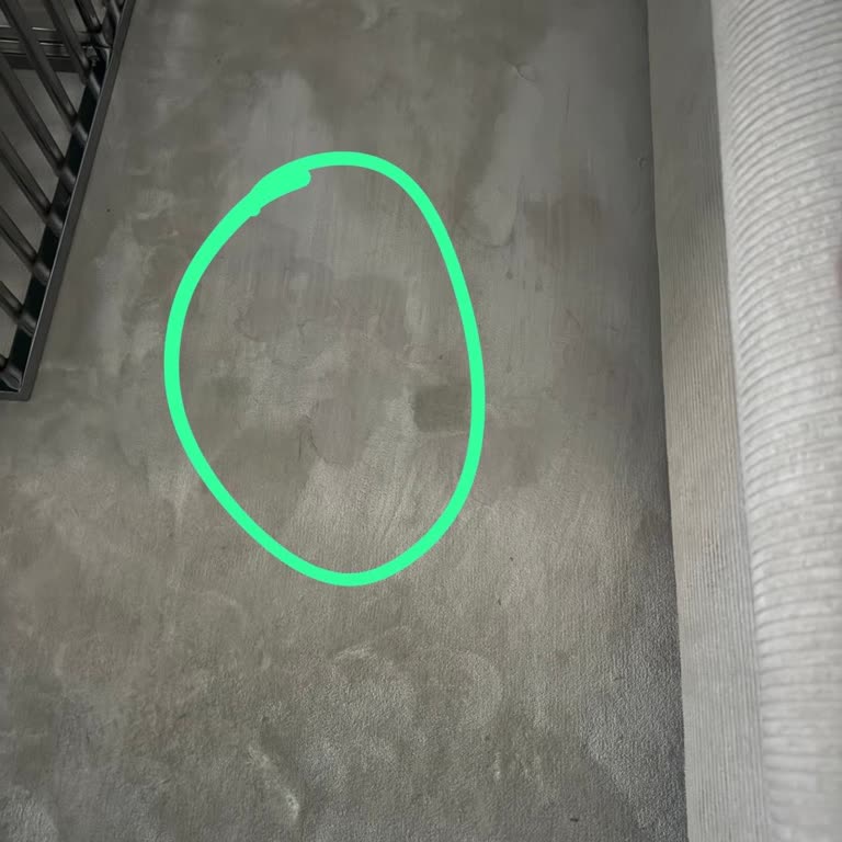 Leke Tutmayan Diye Aldığım Halı En Ufak Lekeyi Bile Çıkarmıyor