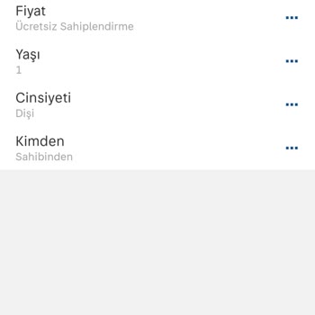 Ücretsiz Kedi Sahiplendirme İlanım Yayınlanmıyor!