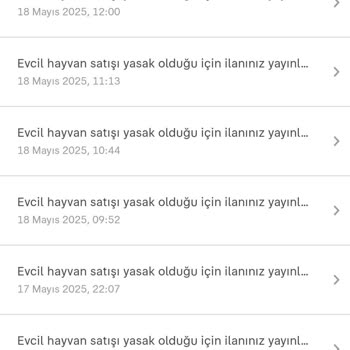 Ücretsiz Kedi Sahiplendirme İlanım Yayınlanmıyor!