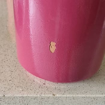 Anneler Günü İçin Sipariş Edilen Çiçek Beklentiyi Karşılamadı Ve İade Süreci Sonuçsuz Kaldı