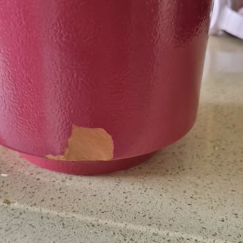 Anneler Günü İçin Sipariş Edilen Çiçek Beklentiyi Karşılamadı Ve İade Süreci Sonuçsuz Kaldı