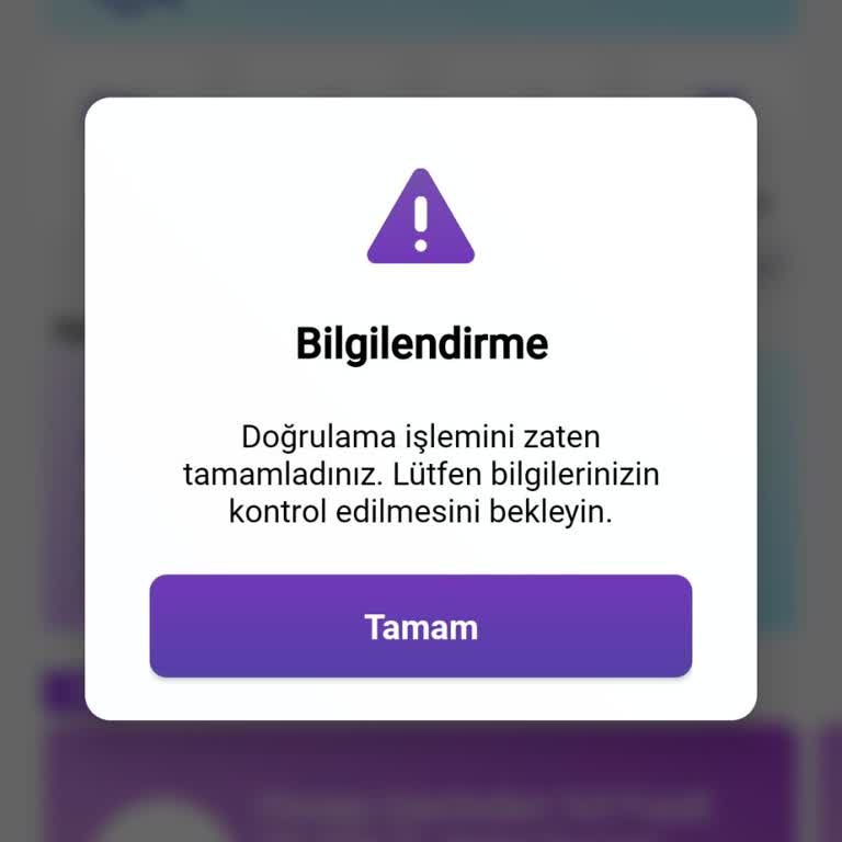 Sipay Kimlik Doğrulama Gecikmesiyle Bakiyeme Erişemiyorum