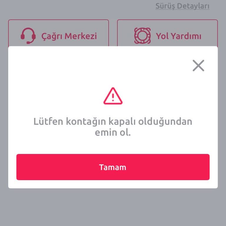 Tiktak Araç Kiralama Sürecinde Sistemsel Sorun Ve Çözüm Eksikliği