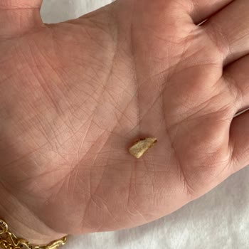 Lezita Nugget İçinden Sert Ve Tanımlanamayan Madde Çıktı