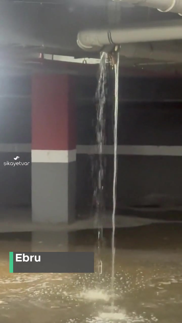 Zeray İnşaat (Kocaeli) Meva Anadolu Evleri Sıkıntıları! videonun kapak resmi