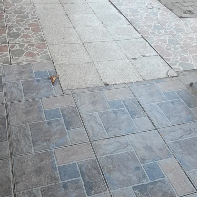 Adalet Mahallesi'nde Sinek İlaçlaması Yetersizliği Mağduriyet Yaratıyor