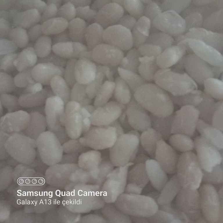 Aldığım Kuru Fasulye Hem Bozuk Hem Pahalı Çıktı