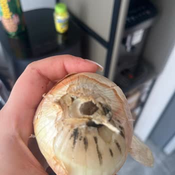 Migros Hemen'den Gelen Bozuk Ürünler Alışverişimi Mahvetti