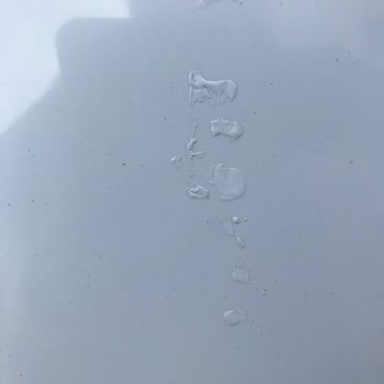 RS Servis Gaziemirde Özensiz Boya Onarımı Ve Sorumluluktan Kaçış