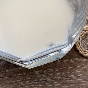 Aldığım Süt Paketinden Örümcek Çıktı