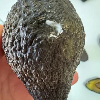 @ferideninbahcesinden Sipariş Edilen Ürünle Gelen Ürün Farklı Ve Çözüm Sunulmadı