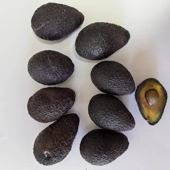 @ferideninbahcesinden Sipariş Edilen Ürünle Gelen Ürün Farklı Ve Çözüm Sunulmadı